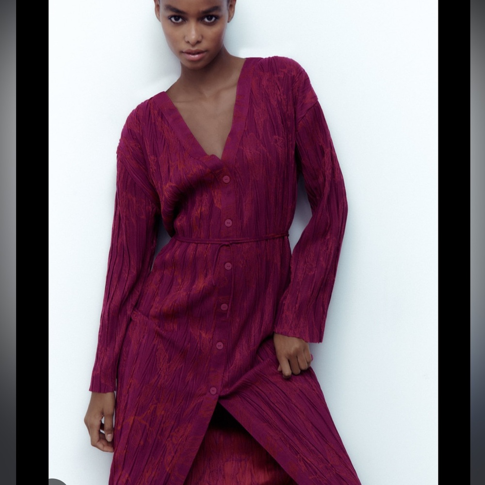 Zara Burgundy Button-Down Dress NWT